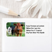 Rundvee op het veld etiket (Insitu)