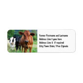 Rundvee op het veld etiket (Voorkant)