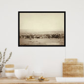 Rundvee op Moss Agate SD 1887 Poster (Keuken)