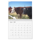 Rundvee op ranch kalender (Mar 2027)