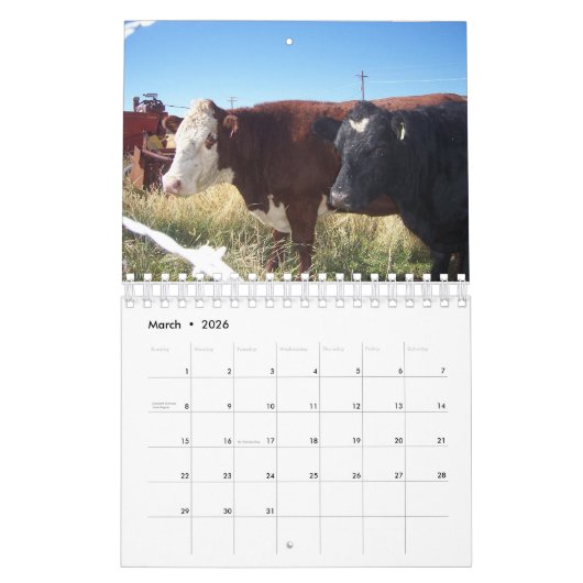 Rundvee op ranch kalender (Mar 2026)