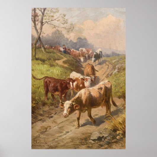 Rundvee op zonneschijn met Shepherd Poster (Voorkant)
