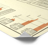 Rundvee Poster (Hoek)