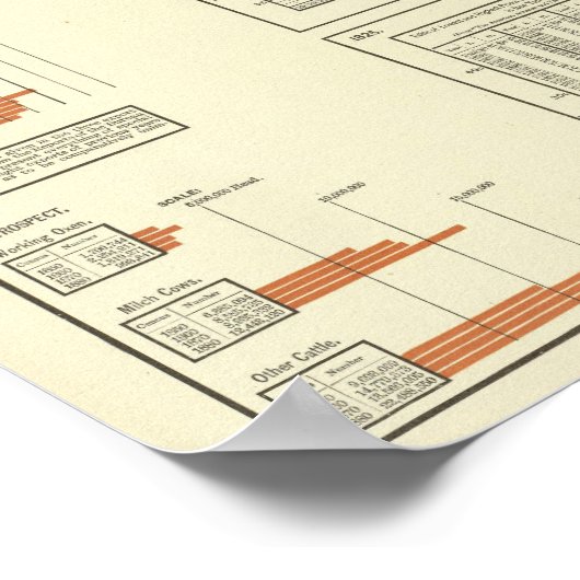 Rundvee Poster (Hoek)