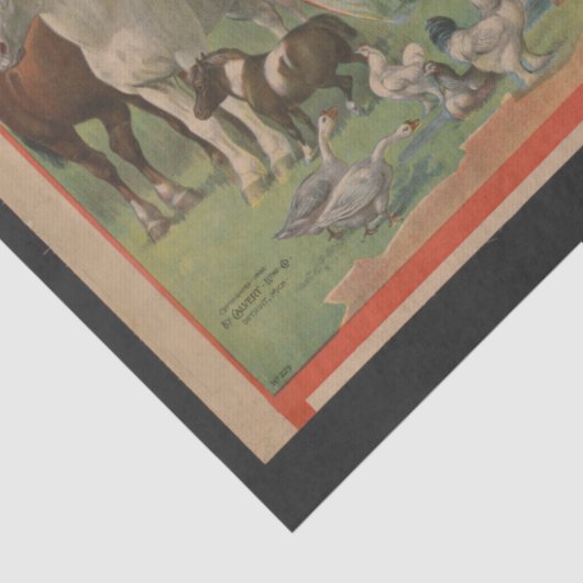 Rundvee Race Track Ephemera-ontkoppeling Tissuepapier (Detail)