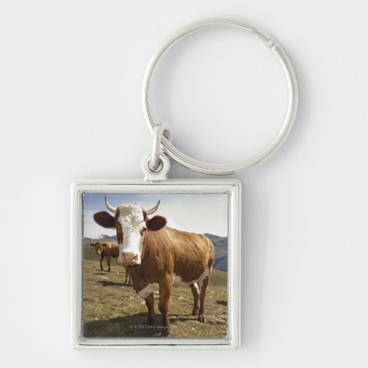 Rundvee Sleutelhanger (Voorkant)