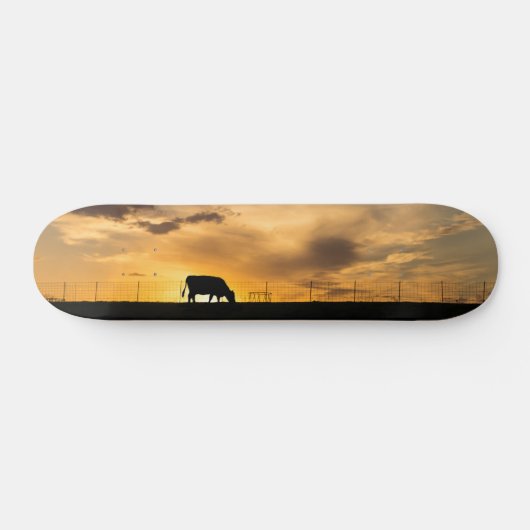 Rundvee Sunset Silhouet Skateboard (Horizontaal)