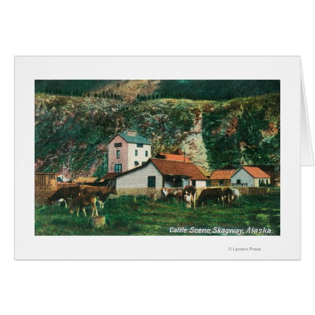 Rundvee tussen Barns SceneSkagway, AK (Voorkant Horizontaal)