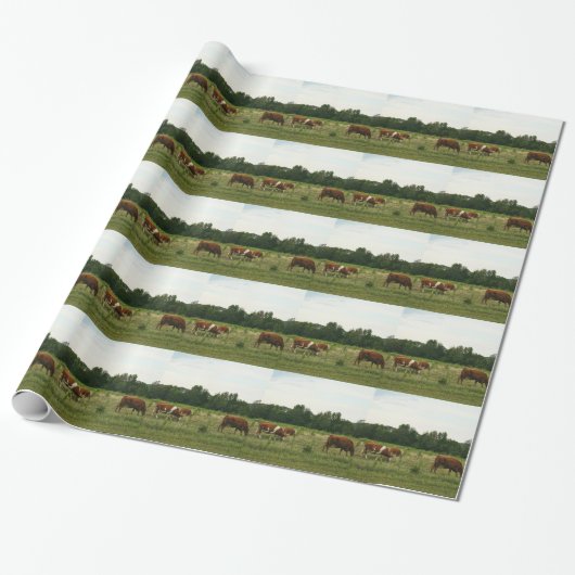 Rundvee van bruin en wittehereford cadeaupapier (Uitgerold)
