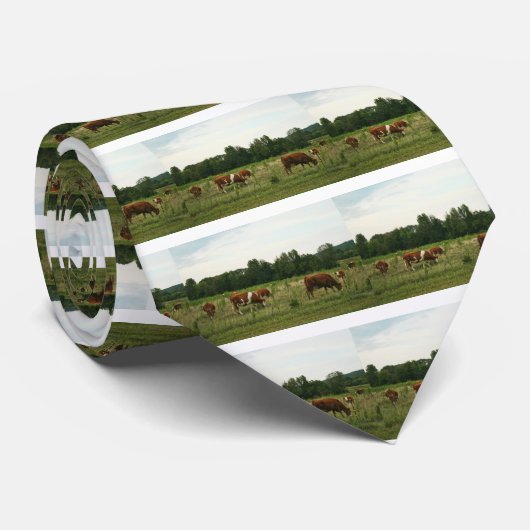 Rundvee van bruin en wittehereford stropdas (Opgerold)