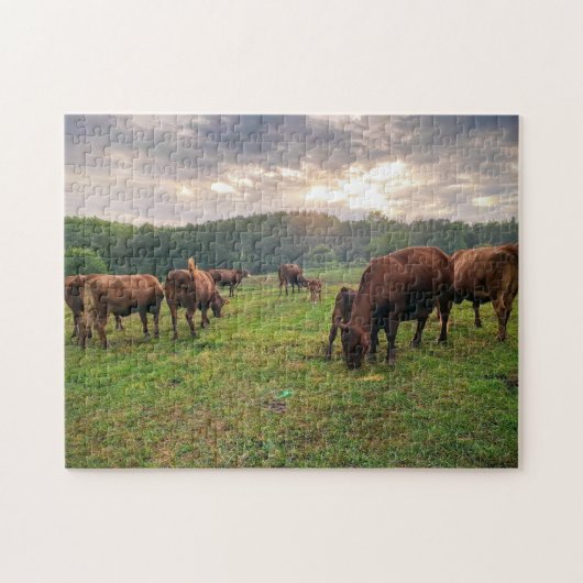 Rundvee van de Pond op zonsondergang Legpuzzel (Horizontaal)