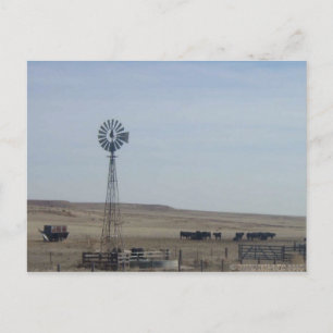 Rundvee, windmolen en ghost briefkaart