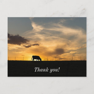 Rundvee Zonsondergang Silhouet Briefkaart