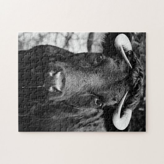 Rundvee, zwart en wit legpuzzel (Horizontaal)