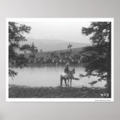 Rundveer met een vijver met twee cowboys. poster (Voorkant)