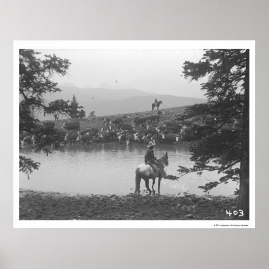 Rundveer met een vijver met twee cowboys. poster (Voorkant)