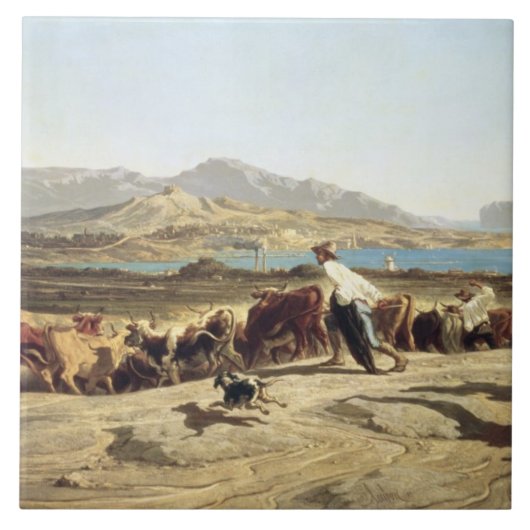 Rundveerij nabij Marseille, 1853 (olie op canva) Tegeltje (Voorkant)