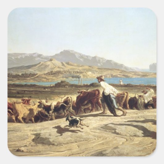 Rundveerij nabij Marseille, 1853 (olie op canva) Vierkante Sticker (Voorkant)