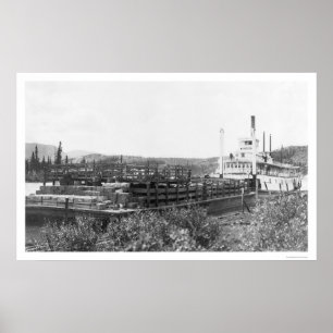 Rundveestapel Yukon River 1914 Poster
