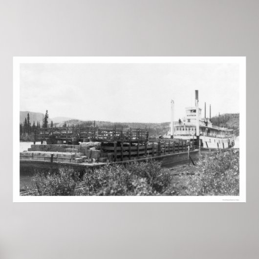 Rundveestapel Yukon River 1914 Poster (Voorkant)