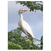 Rundveeteelt - Wading Bird Series - Clip Board Klembord (Achterkant)