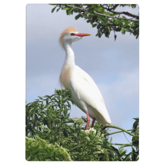 Rundveeteelt - Wading Bird Series - Clip Board Klembord (Achterkant)
