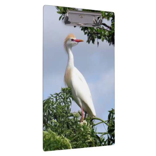 Rundveeteelt - Wading Bird Series - Clip Board Klembord (Rechts)