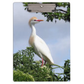 Rundveeteelt - Wading Bird Series - Clip Board Klembord (Voorkant)