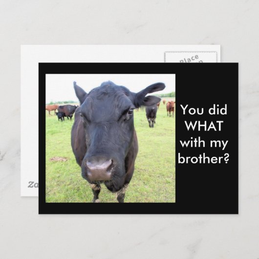 RUNDVLEES BRIEFKAART (Voorkant / Achterkant)