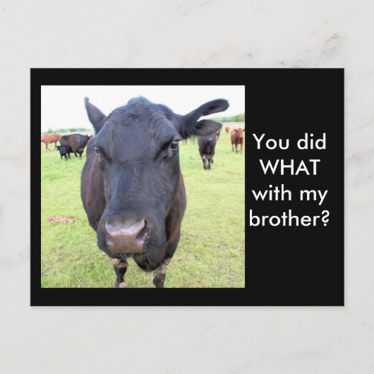 RUNDVLEES BRIEFKAART (Voorkant)