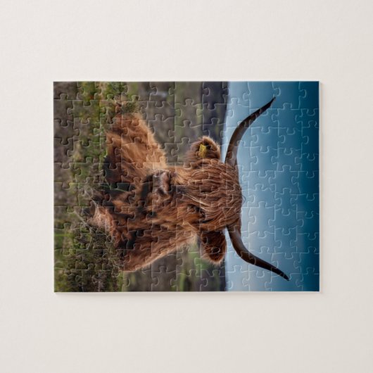 rundvlees legpuzzel (Horizontaal)