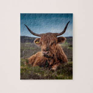 rundvlees legpuzzel