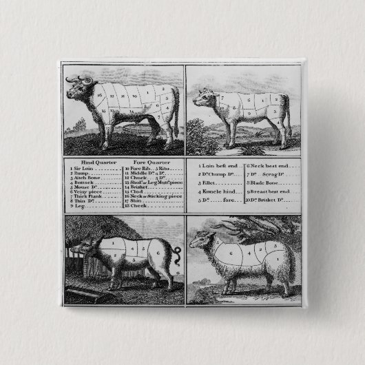 Rundvlees, Vee, Varkensvlees en Mutton Cuts, 1802 Vierkante Button 5,1 Cm (Voorkant)
