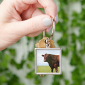 Rundvleeskoe in het veld sleutelhanger (Hand)