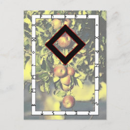 Rune Ingwaz - Hero Briefkaart