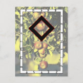 Rune Ingwaz - Hero Briefkaart (Voorkant)