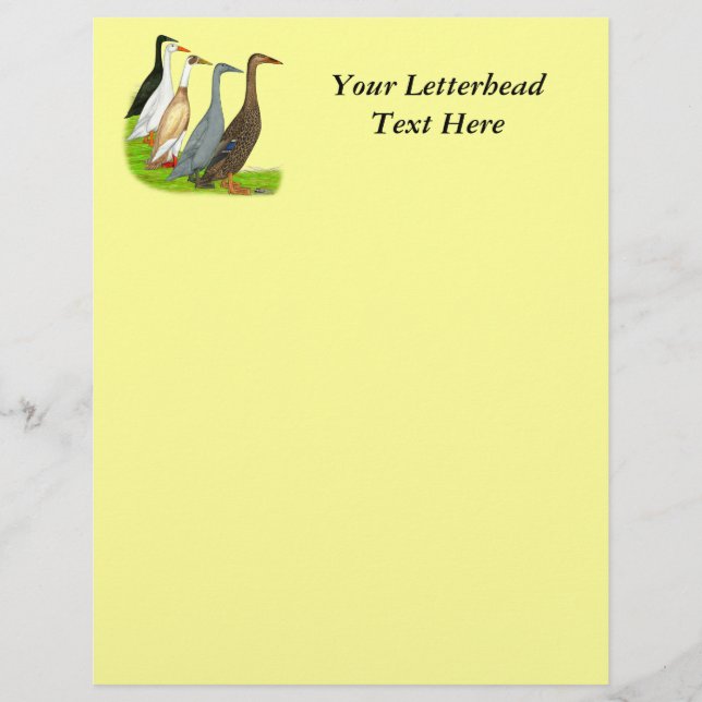 Runner Duck Assortation (Voorkant)