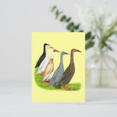 Runner Duck Assortation Briefkaart (Staand voorkant)