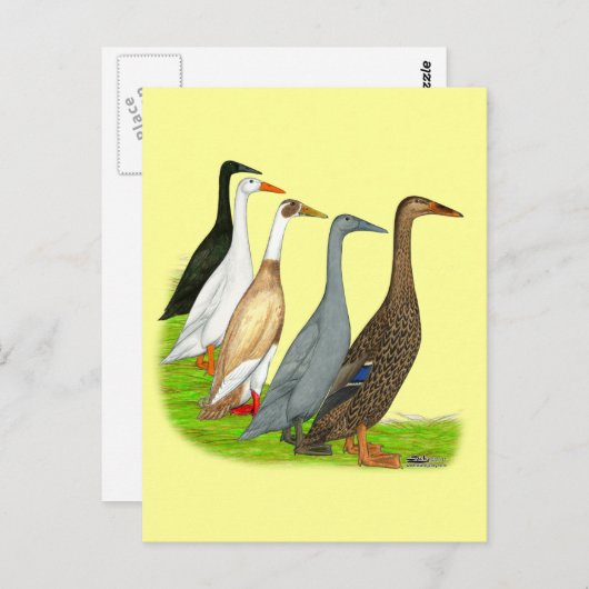 Runner Duck Assortation Briefkaart (Voorkant / Achterkant)