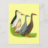 Runner Duck Assortation Briefkaart (Voorkant)