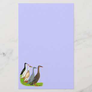 Runner Duck Assortation Briefpapier