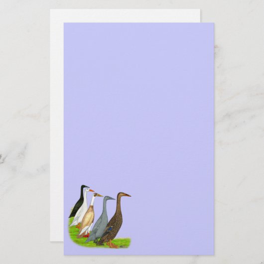 Runner Duck Assortation Briefpapier (Voorkant / Achterkant)