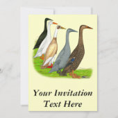 Runner Duck Assortation Kaart (Voorkant)