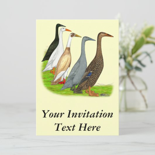 Runner Duck Assortation Kaart (Staand voorkant)