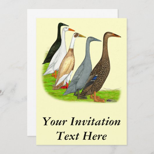 Runner Duck Assortation Kaart (Voorkant / Achterkant)