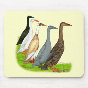 Runner Duck Assortation Muismat