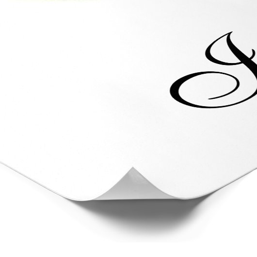 Runner Duck Assortation Poster (Hoek)