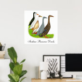 Runner Duck Assortation Poster (Thuiskantoor)