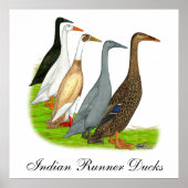 Runner Duck Assortation Poster (Voorkant)