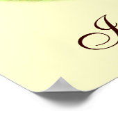 Runner Duck Assortation Poster (Hoek)